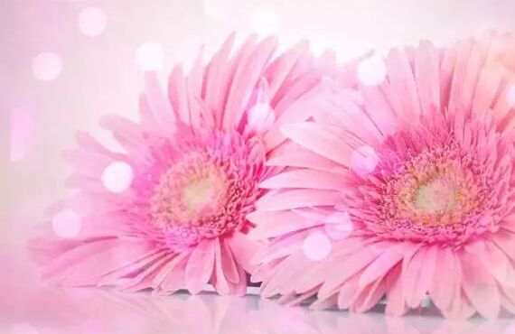 神戸で恋愛占い～アマノコトダマ～