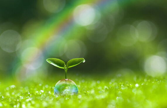 離婚の悩みを相談し占いでアドバイス「アマノコトダマ」